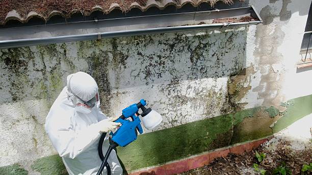 Top rated local Mold Removal specialists in Commerce City, CO